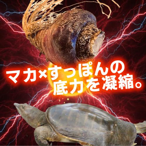 すっぽんマカ(1か月分)
